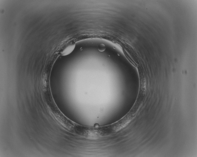 X0000085830264200703301627