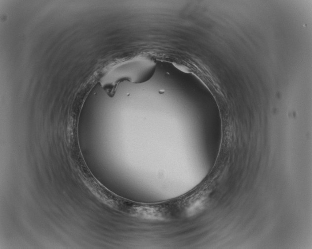 X0000085830265200703301627