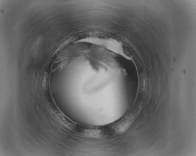 X0000085830266200703301627