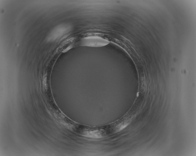 X0000085830267200703301627