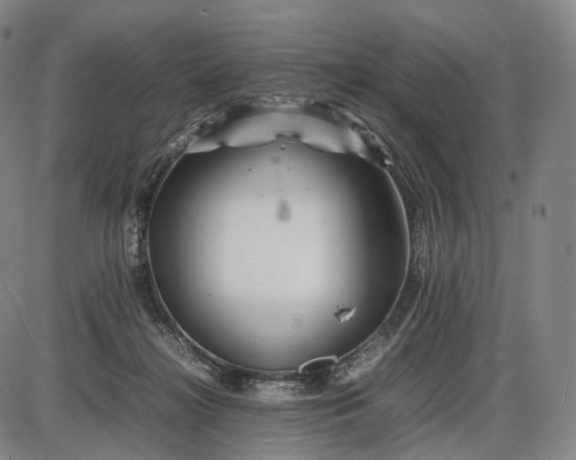 X0000085830268200703301627