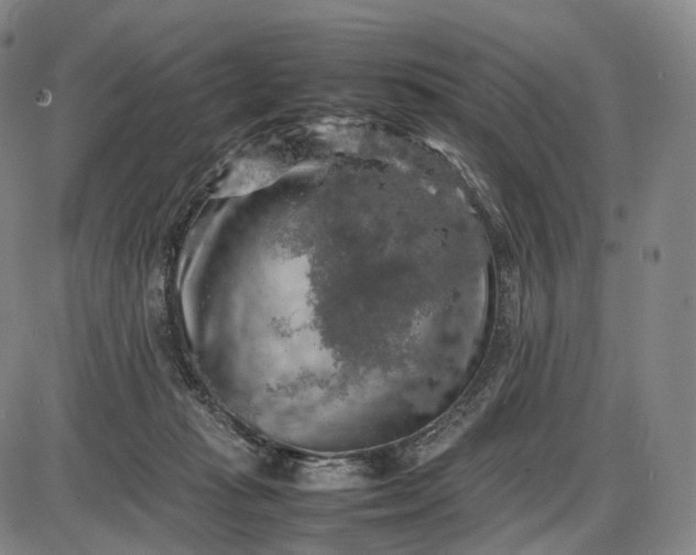 X0000085830269200703301627