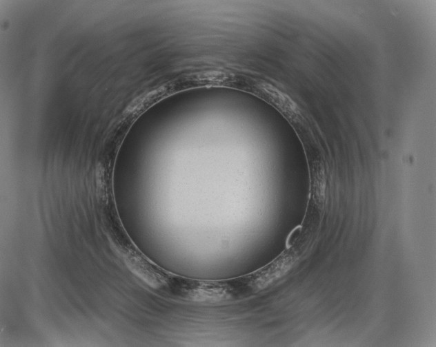 X0000085830270200703301627