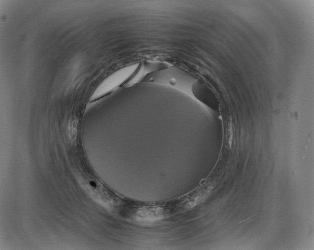 X0000085830271200703301627