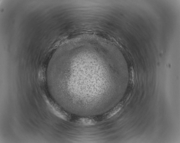 X0000085830272200703301627