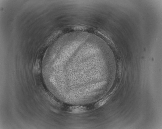 X0000085830273200703301627