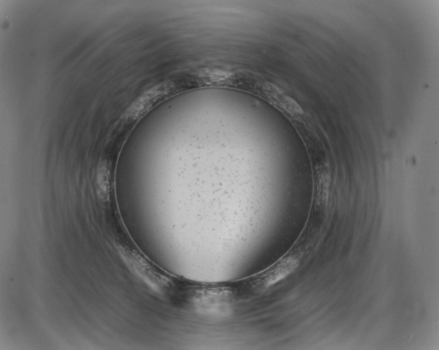 X0000085830274200703301627