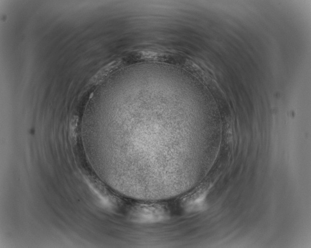 X0000085830275200703301627