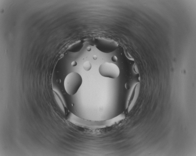 X0000085830276200703301627