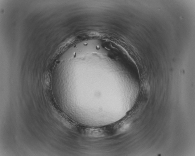 X0000085830277200703301627