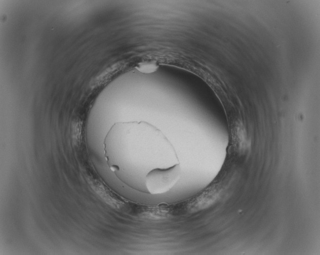 X0000085830278200703301627