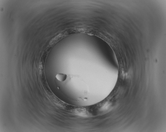 X0000085830279200703301627