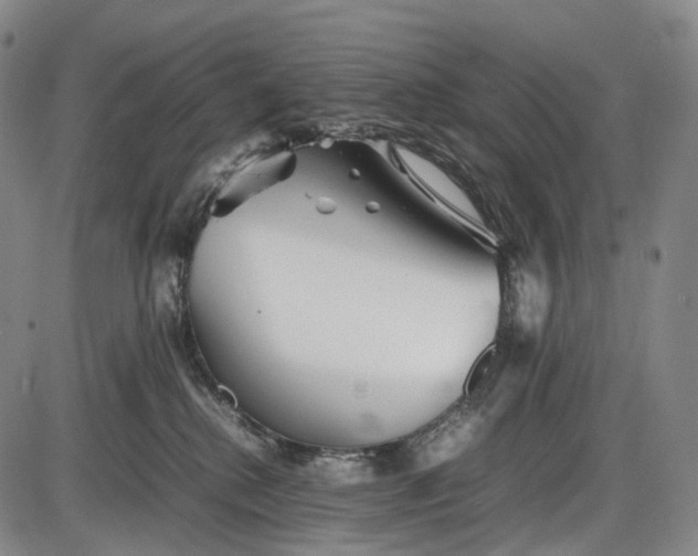 X0000085830280200703301627