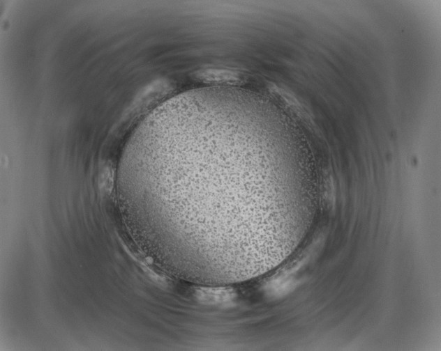 X0000085830281200703301627