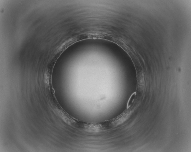 X0000085830282200703301627