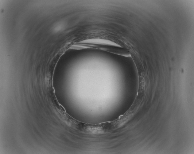 X0000085830283200703301627