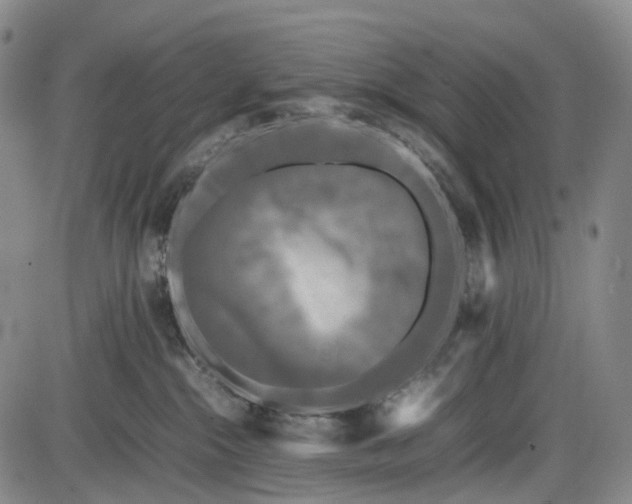 X0000085830284200703301627