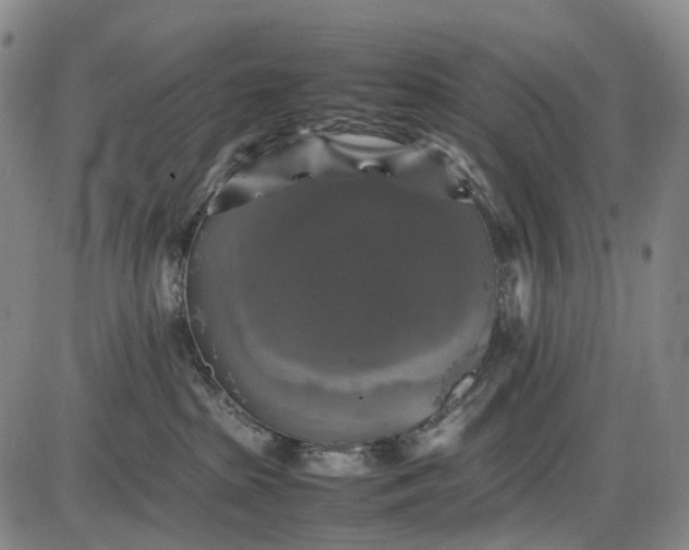 X0000085830285200703301627