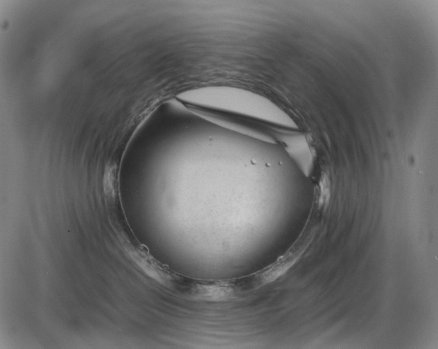 X0000085830286200703301627