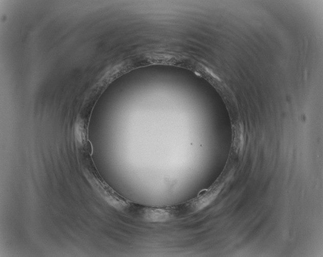 X0000085830287200703301627