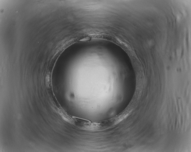 X0000085830288200703301627