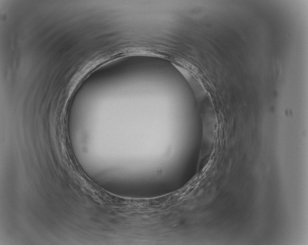 X0000085830289200703301626