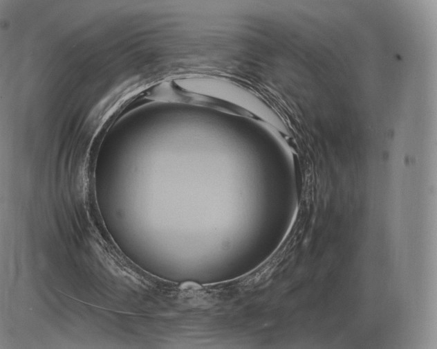 X0000085830290200703301626