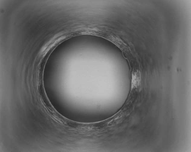 X0000085830291200703301626