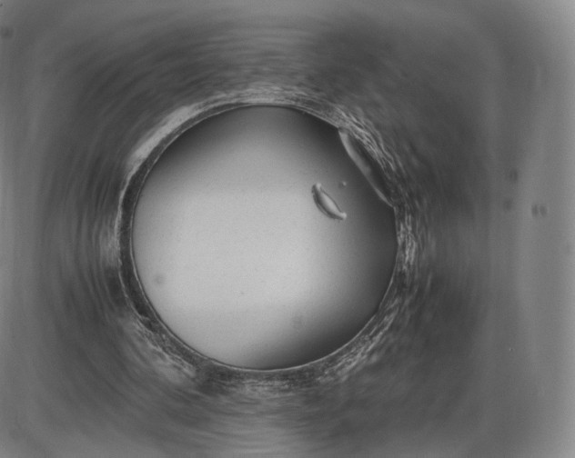 X0000085830292200703301626