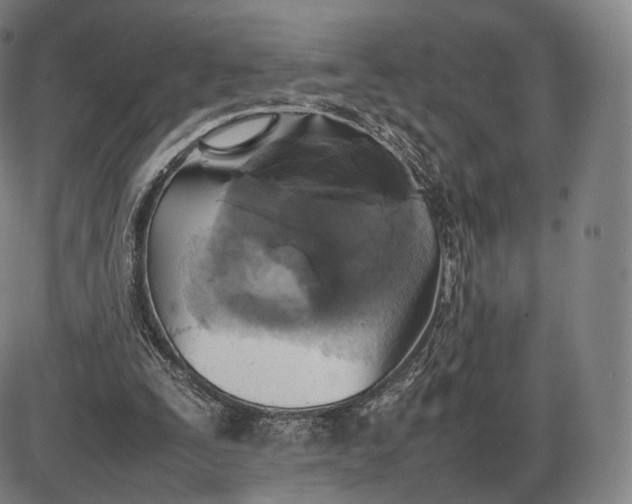 X0000085830295200703301626