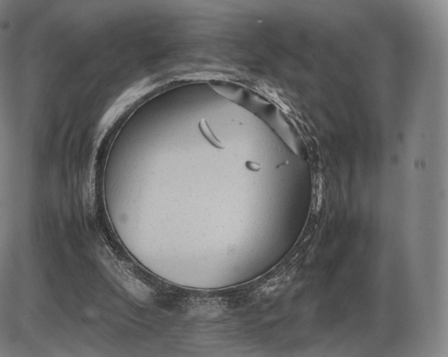 X0000085830296200703301626