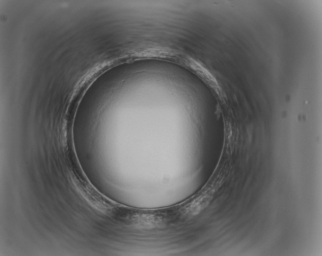 X0000085830298200703301626