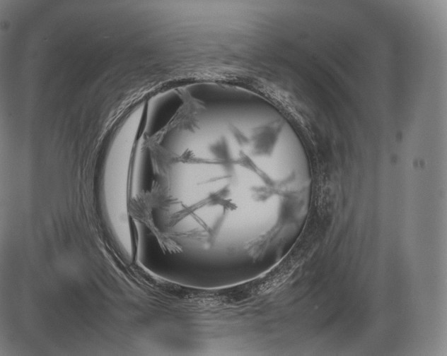 X0000085830299200703301626