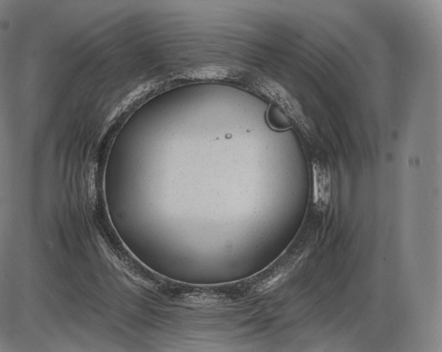 X0000085830300200703301626