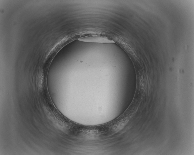 X0000085830304200703301626