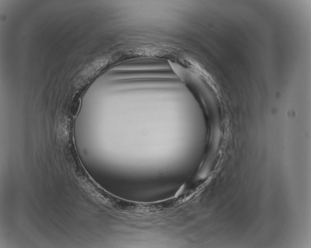 X0000085830305200703301626