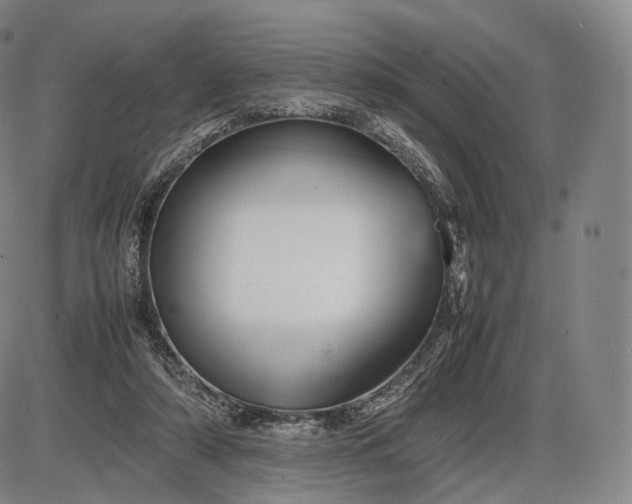 X0000085830306200703301626