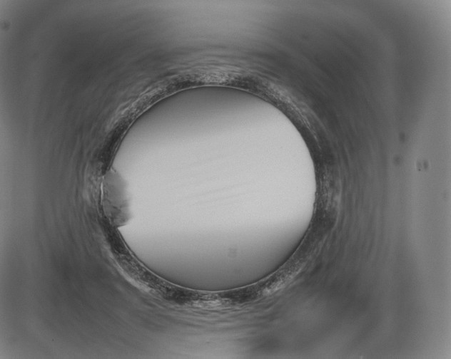 X0000085830307200703301626