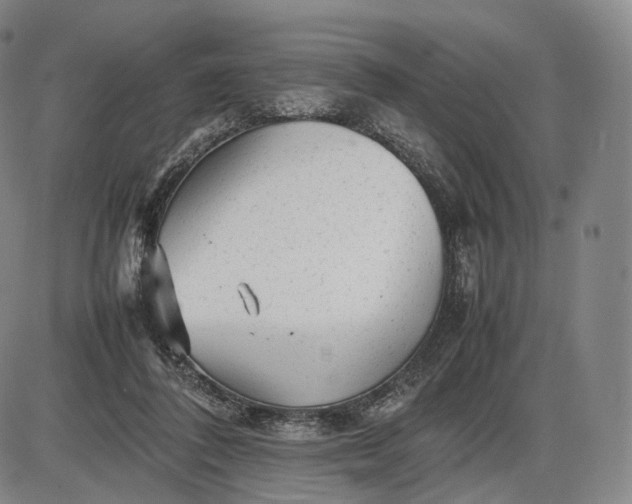 X0000085830308200703301626