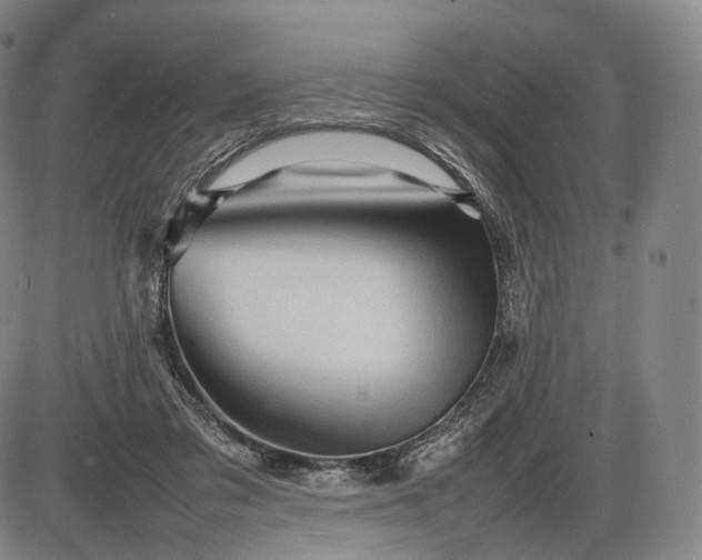 X0000085830309200703301626