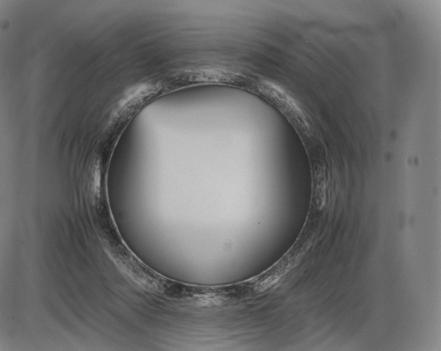 X0000085830310200703301626