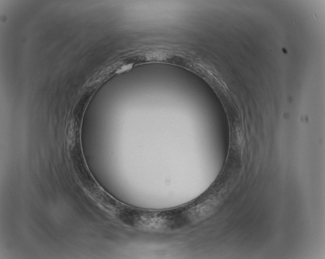 X0000085830311200703301626