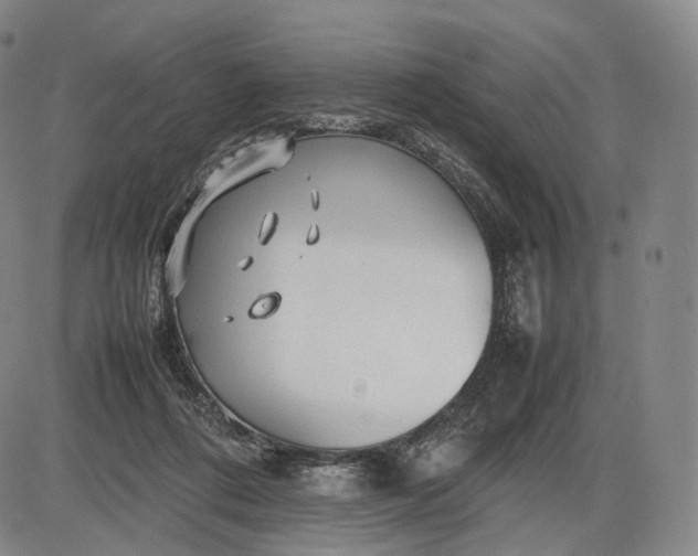 X0000085830312200703301626