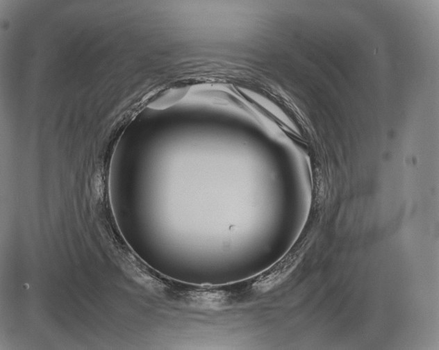 X0000085830313200703301626