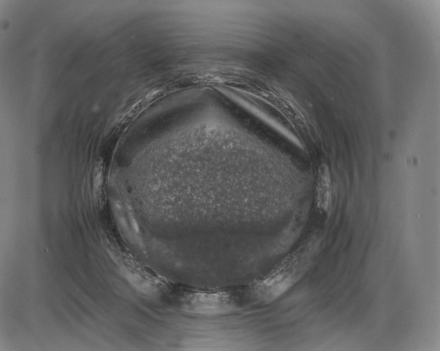 X0000085830314200703301626