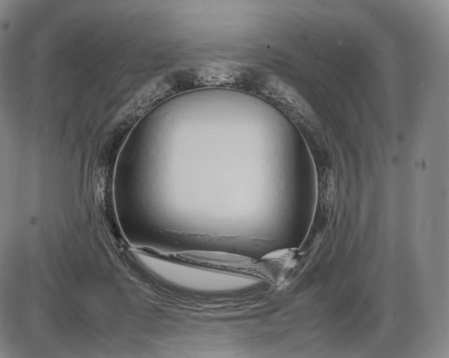 X0000085830315200703301626