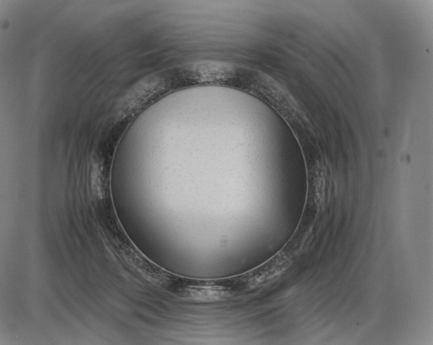 X0000085830316200703301626