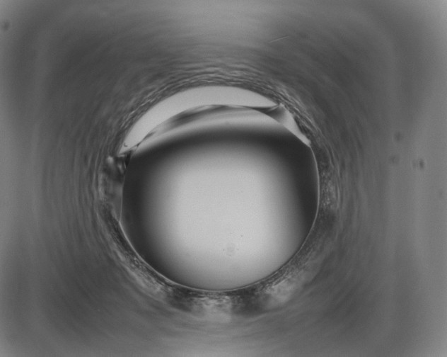 X0000085830317200703301626