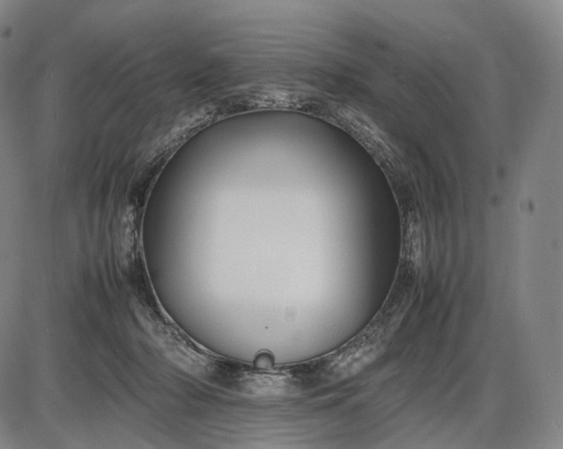 X0000085830318200703301626