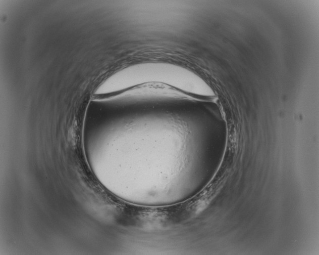 X0000085830319200703301626